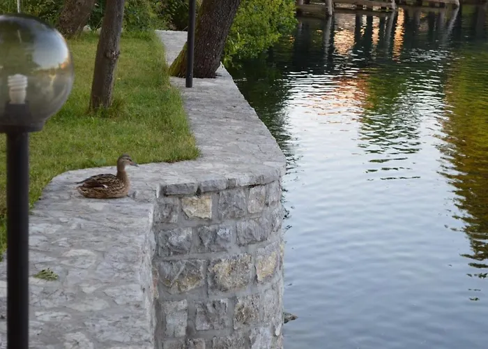 My Island ヴィラ *